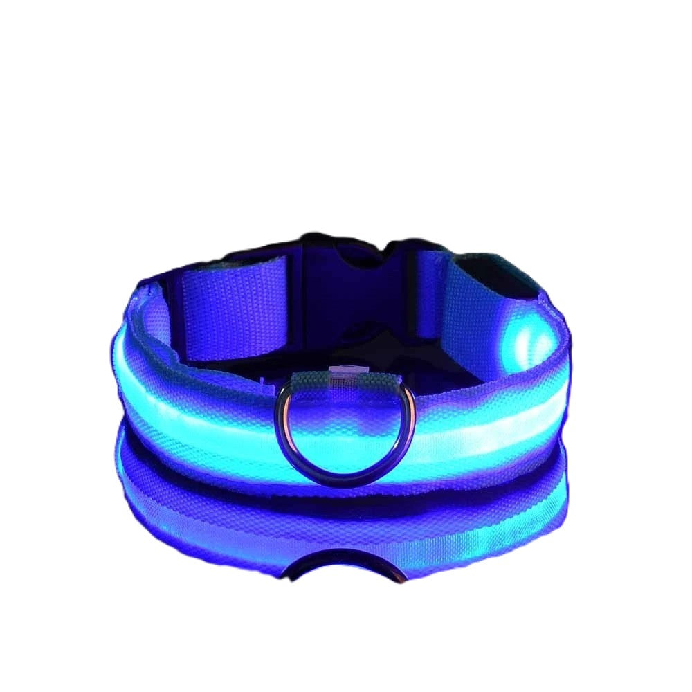 LED Dog Collar