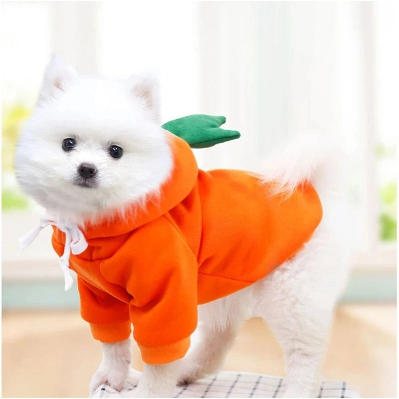 Fun Dog Costumes/Hoodies