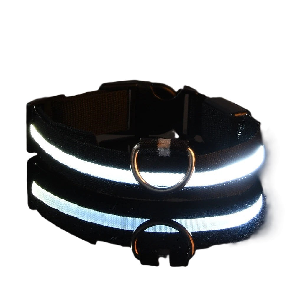 LED Dog Collar