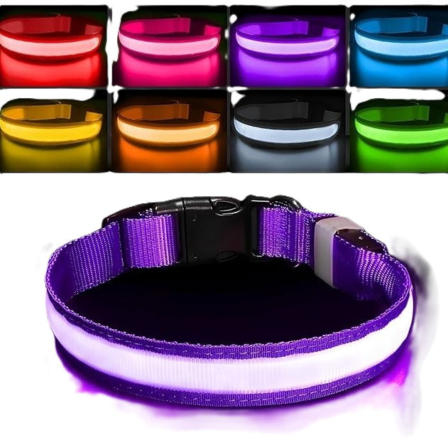 LED Dog Collar